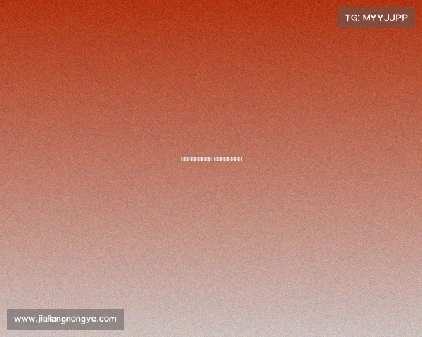 电子竞技的霸气名字 电子竞技名字大全