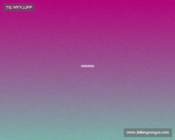 衢州市电子科技大学